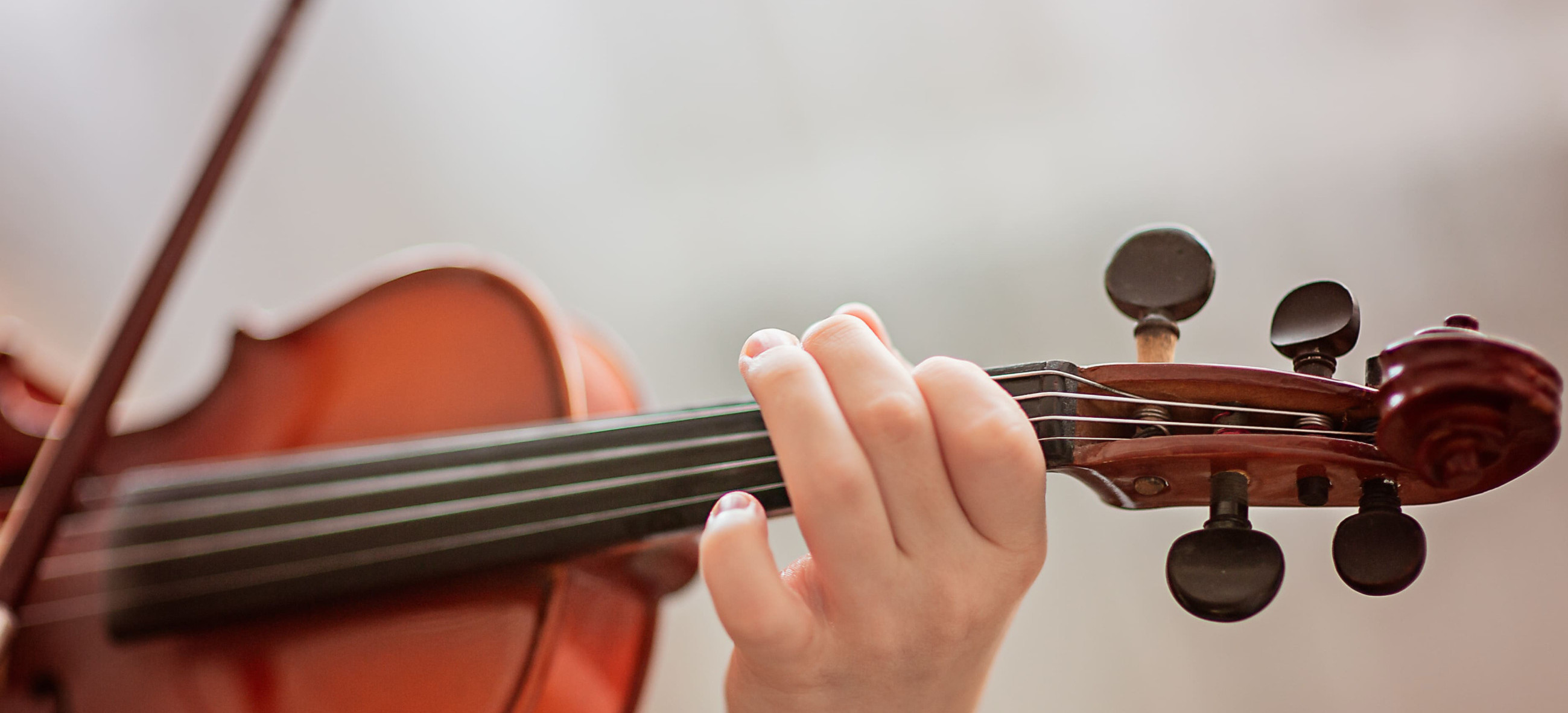 Concert d'Alto | Résidence Cap Fleuri