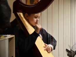 Masterclass de harpe |  Frédérique CAMBRELING