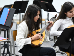 Audition de Mandoline | Martine FAVERGEAUD