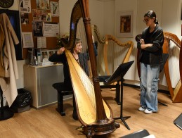 Masterclass de harpe |  Frédérique CAMBRELING