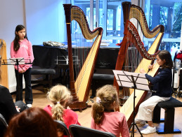 Audition de Harpe | Noëlle VERA