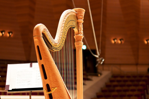 Concours Français de la Harpe | 14e édition