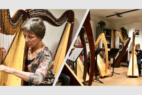 Masterclass de harpe |  Frédérique CAMBRELING