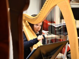 Masterclass de harpe |  Frédérique CAMBRELING