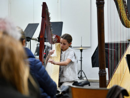 Audition de Harpe | Noëlle VERA