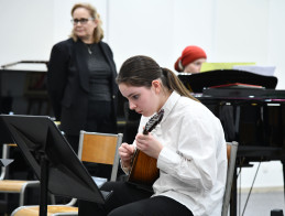 Audition de Mandoline | Martine FAVERGEAUD