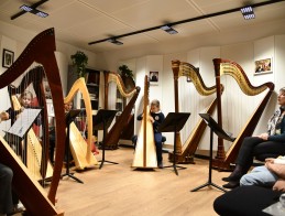 Masterclass de harpe |  Frédérique CAMBRELING