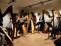 Masterclass de harpe |  Frédérique CAMBRELING