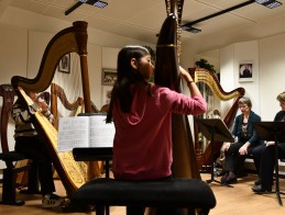 Masterclass de harpe |  Frédérique CAMBRELING