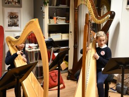 Masterclass de harpe |  Frédérique CAMBRELING