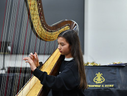 Audition de Harpe | Noëlle VERA