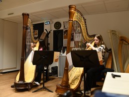 Masterclass de harpe |  Frédérique CAMBRELING