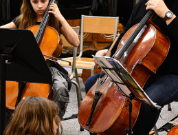 Audition de Violoncelle